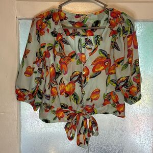 Joie Women’s Blue Tropical Print Button Up Puff Sleeve Cropped Blouse Top L